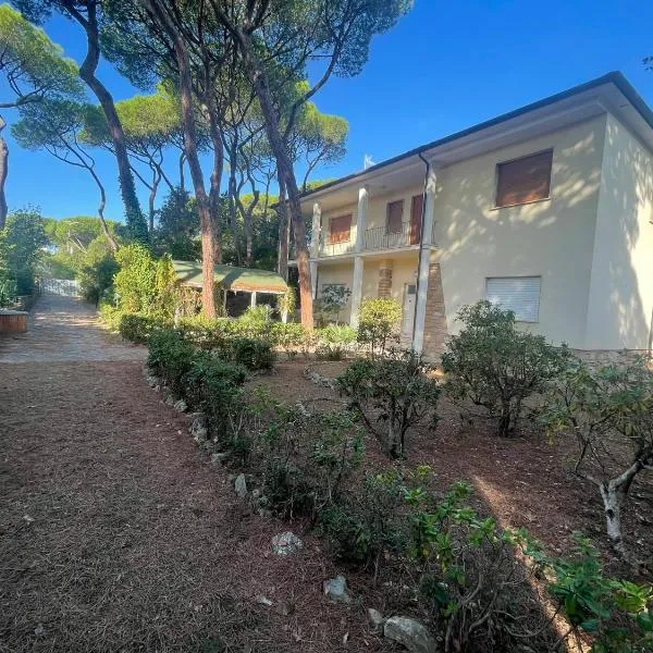 Villa Il boschetto，位于马里纳-迪卡斯塔涅托的酒店