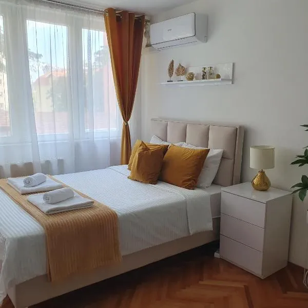 Stan na dan Golden apartman，位于扎耶查尔的酒店