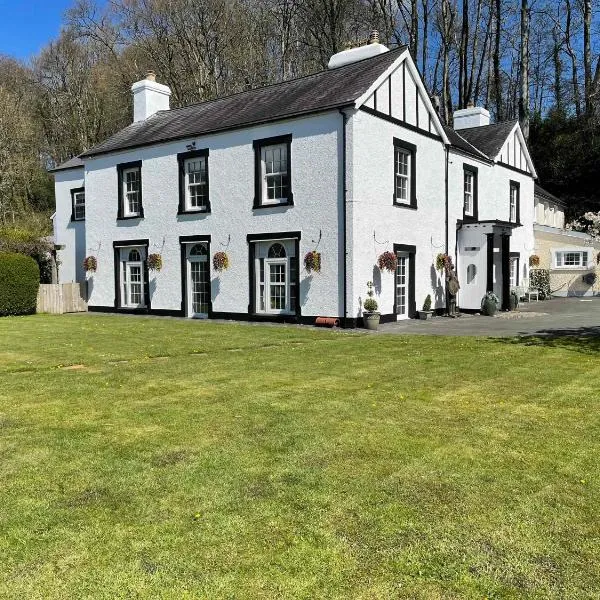 Dol Llan Mansion，位于Llanybydder的酒店