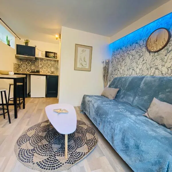 Charmant studio à Talence，位于塔朗斯的酒店