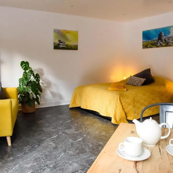 Sharp Tor Riverside Studio Apartment，位于普里茅斯的酒店