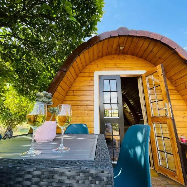 The Gold Pod, relax and enjoy on a Glamping house，位于Alcanhões的酒店