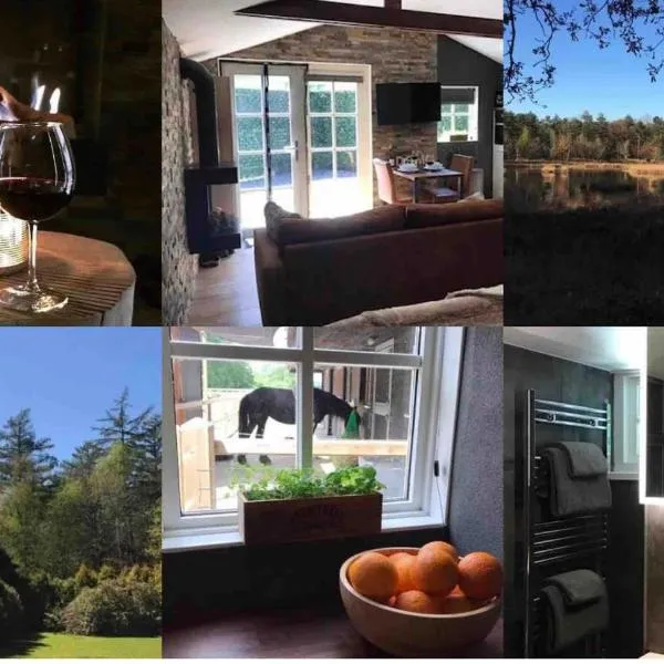 Luxe Natuurhuisje met jacuzzi en haard in Drenthe, ECHTEN，位于Echten的酒店