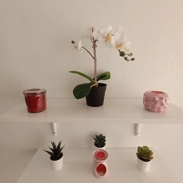 Hospedaje La Gloria，位于Texcoco de Mora的酒店