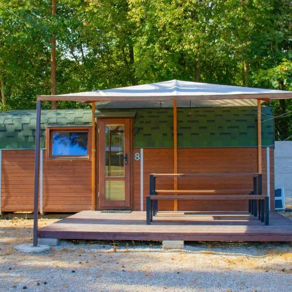 Holiday Home Kemp Stříbrný rybník-8 by Interhome，位于赫拉德茨 - 克拉洛韦的酒店