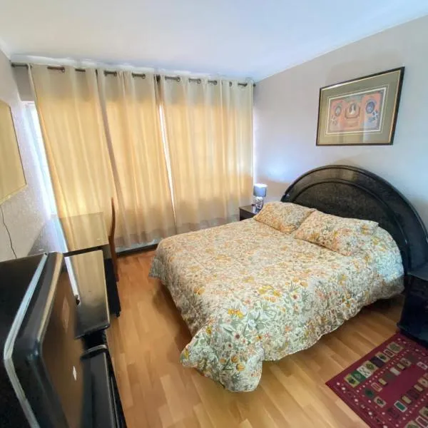 NEW HOTEL CRUZ DEL SUR，位于康塞普西翁的酒店