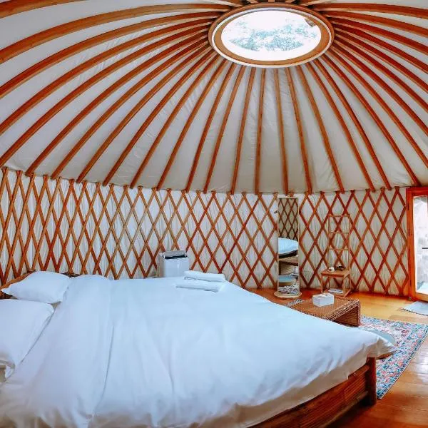 Nomad Yurts，位于科隆的酒店