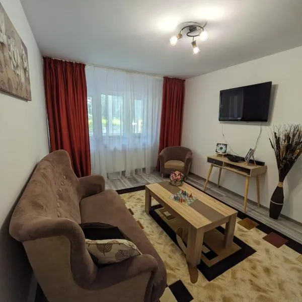 Apartamentul ALFA，位于Poiana Sărată的酒店