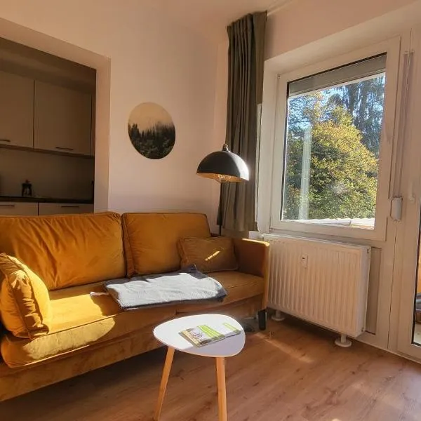 Ferienwohnung Berglodge 11 Hahnenklee Bockswiese，位于戈斯拉尔的酒店