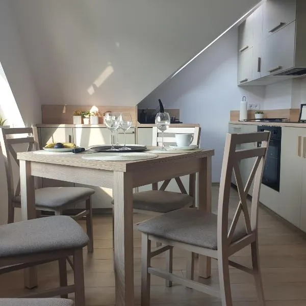 Near the airport- Apartments，位于克拉科夫的酒店