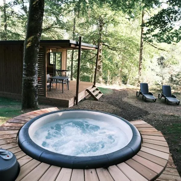 Lodge avec SPA privatif - Foret et Lac，位于讷维克的酒店