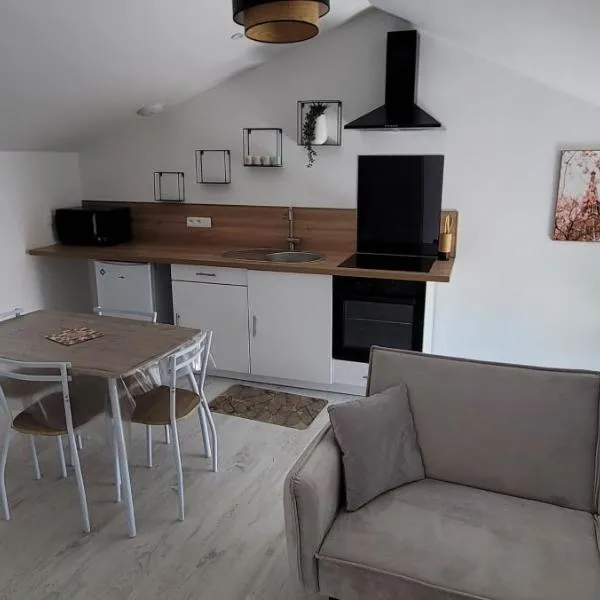 Appartement proche Futuroscope，位于Saint-Julien-lʼArs的酒店