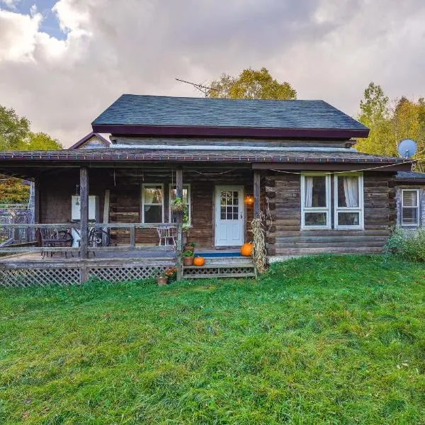 Private Yard & Deck: Adirondack Cabin Retreat!，位于West Chazy的酒店