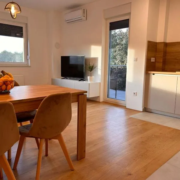 Apartman TENA, Private parking, Self check in,位于奥西耶克的酒店