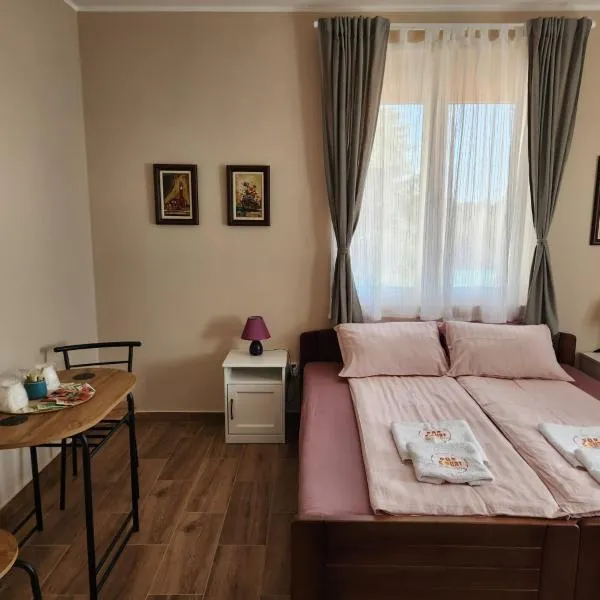 RoomsApartments PopCOURT，位于Novi Vladimirovac的酒店