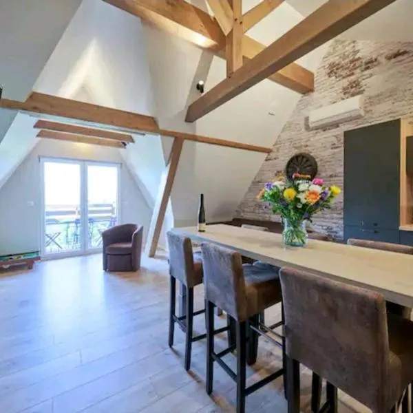 LOFT neuf avec bain jacuzzi et terrasse，位于科尔马的酒店