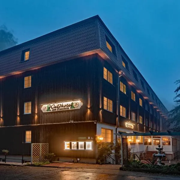 Waldhotel Harz Ilsenburg，位于伊尔森堡的酒店