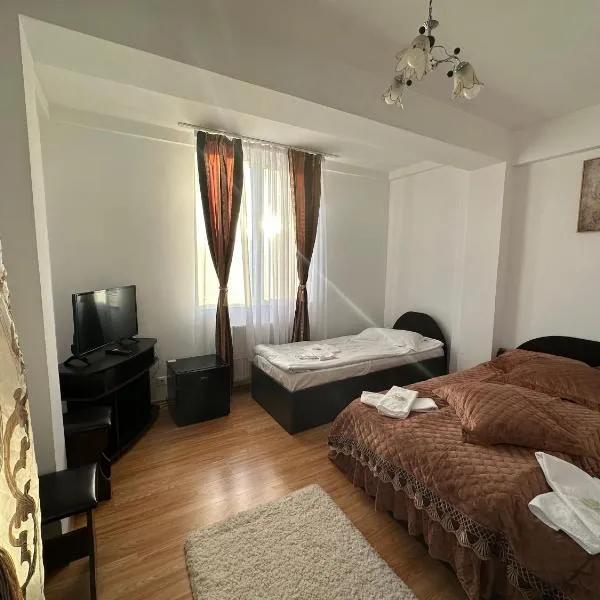 Casa Rustic cazare，位于皮特什蒂的酒店