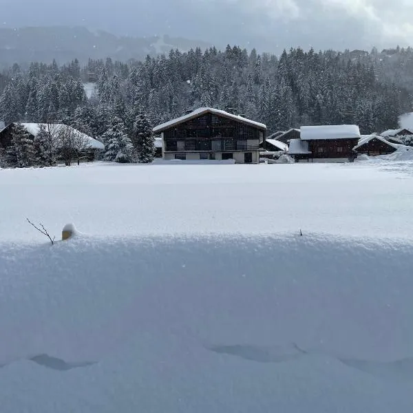 Chalet Esquinade 4 bedrooms appartment Megève，位于萨莱切的酒店