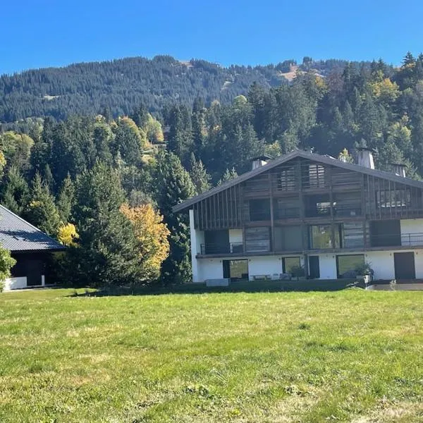 Chalet Esquinade 4 bedrooms appartment Megève，位于梅杰夫的酒店