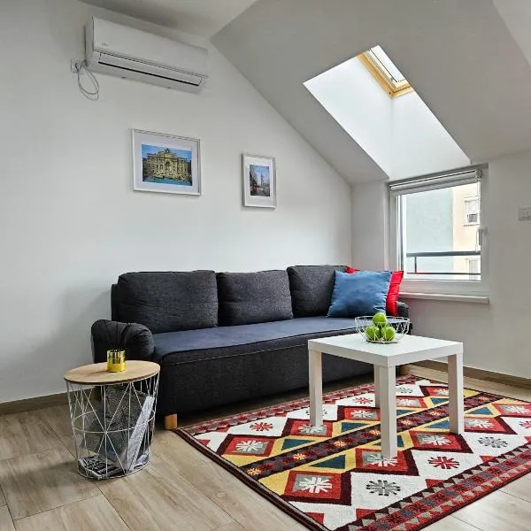 Roman Apartman，位于斯雷姆斯卡米特罗维察的酒店
