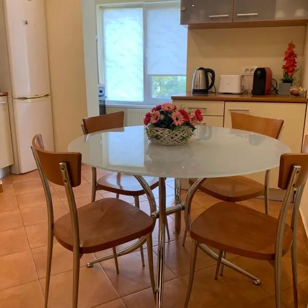 Apartament Crăciunița，位于蒂米什瓦拉的酒店