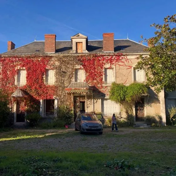 Gîte Manoir du moulin près du zoo de Beauval et les châteaux de la Loire，位于Chabris的酒店