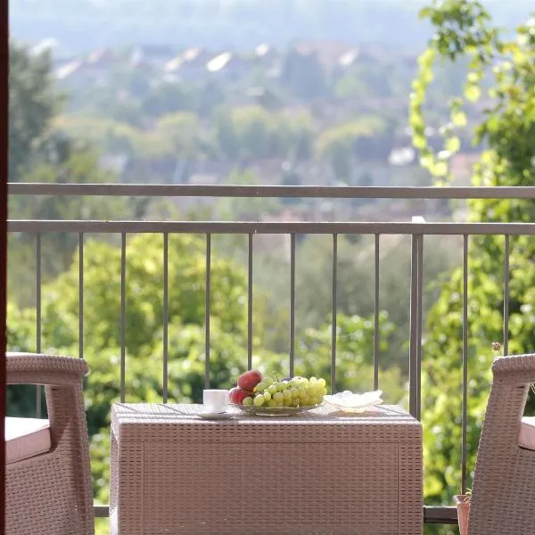 August Panorama Apartman，位于瓦茨的酒店