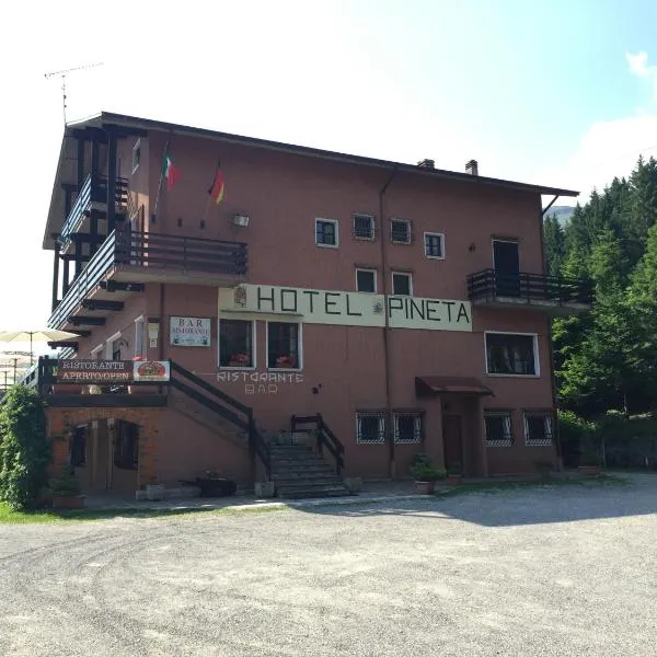 Albergo Ristorante Pineta，位于Rocca dʼAnfo的酒店