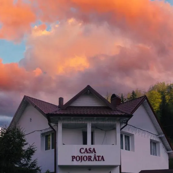 Casa Pojorâta，位于Valea Putnei的酒店