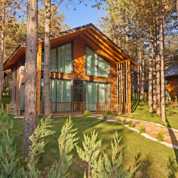 Harmony Green Village Resort，位于Mahmudiye的酒店