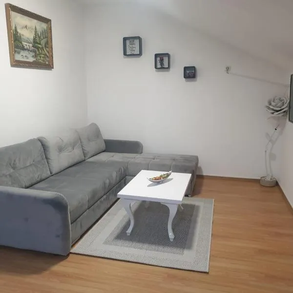 APARTMAN SOFIA，位于Bošnjaci的酒店