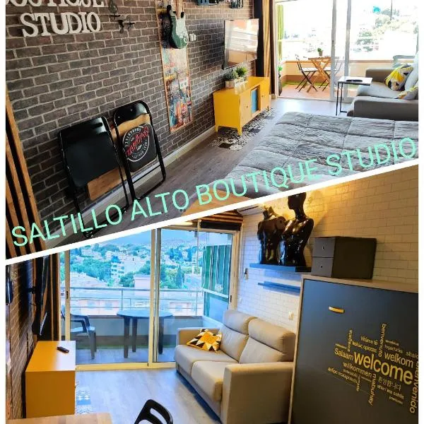 Saltillo Alto Boutique Studio，位于多列毛利诺斯的酒店