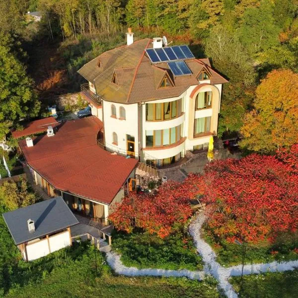 Къща за гости Сборяна，位于Vizitsa的酒店
