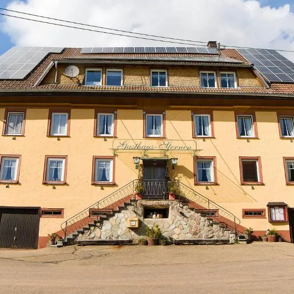 Haus Zum Sternen，位于Vöhrenbach的酒店
