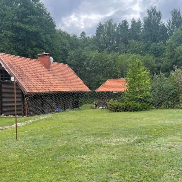 Forest House，位于Pašvinės的酒店