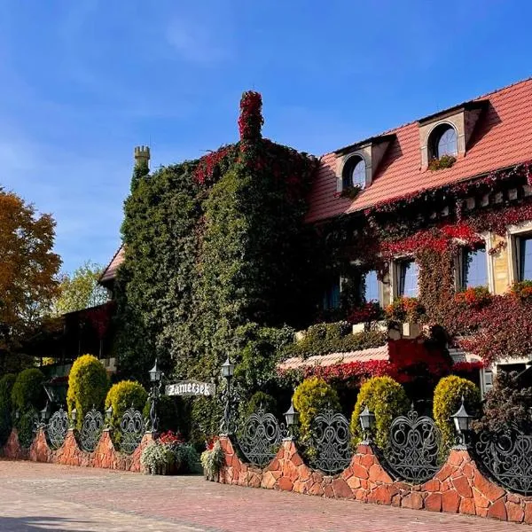 Hotel Zameczek，位于Smroków的酒店