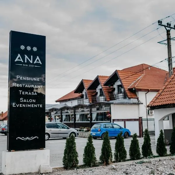 PENSIUNEA ANA，位于Arămoaia的酒店