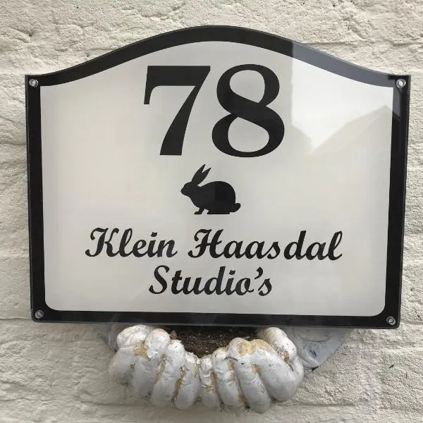 Klein Haasdal Studio's，位于埃尔斯洛的酒店