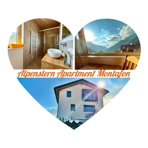 Alpenstern Apartment Montafon，位于圣加伦基希的酒店