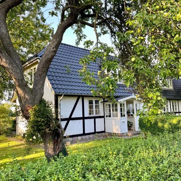 Strandby 1847 B&B，位于Nørre Alslev的酒店