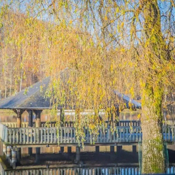 Les Terrasses Du Lac，位于维尔雅尔姆的酒店
