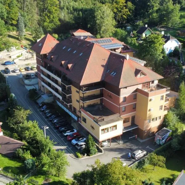 Wellness Hotel Ambra，位于Těšov的酒店