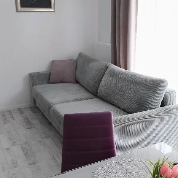 Apartament na Kruczej，位于卢宾的酒店