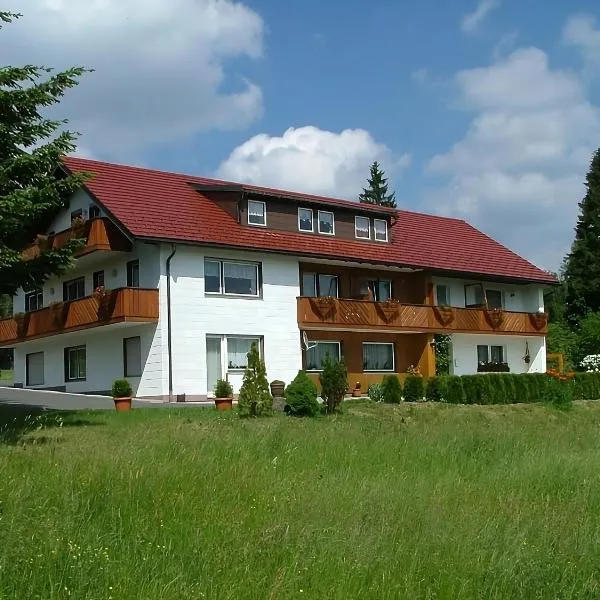 Haus Rosenbühl，位于瓦门施泰纳赫的酒店