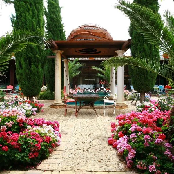 帕拉西奥德拉塞尔纳精品酒店，位于Argamasilla de Calatrava的酒店