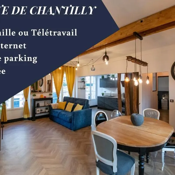 La Suite de Chantilly - Appartement de 80m2 avec Jacuzzi privé !，位于尚蒂伊的酒店