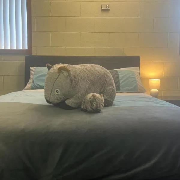 Wombats Den A warm and cosy semi underground retreat，位于Howrah的酒店