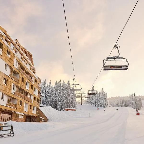 Grey Hotel Kopaonik，位于Lisina的酒店