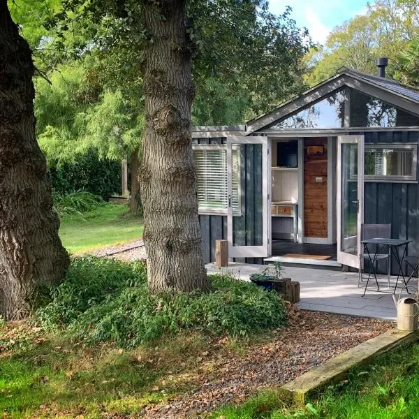 Isle of Wight Cabin，位于Mottistone的酒店